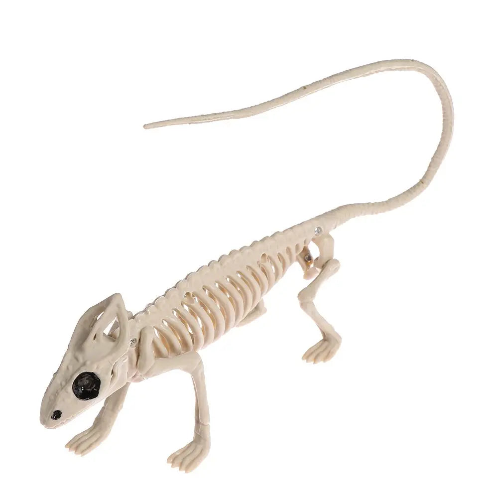 Squelettes d'Animaux Effrayants - Décoration Halloween Réaliste