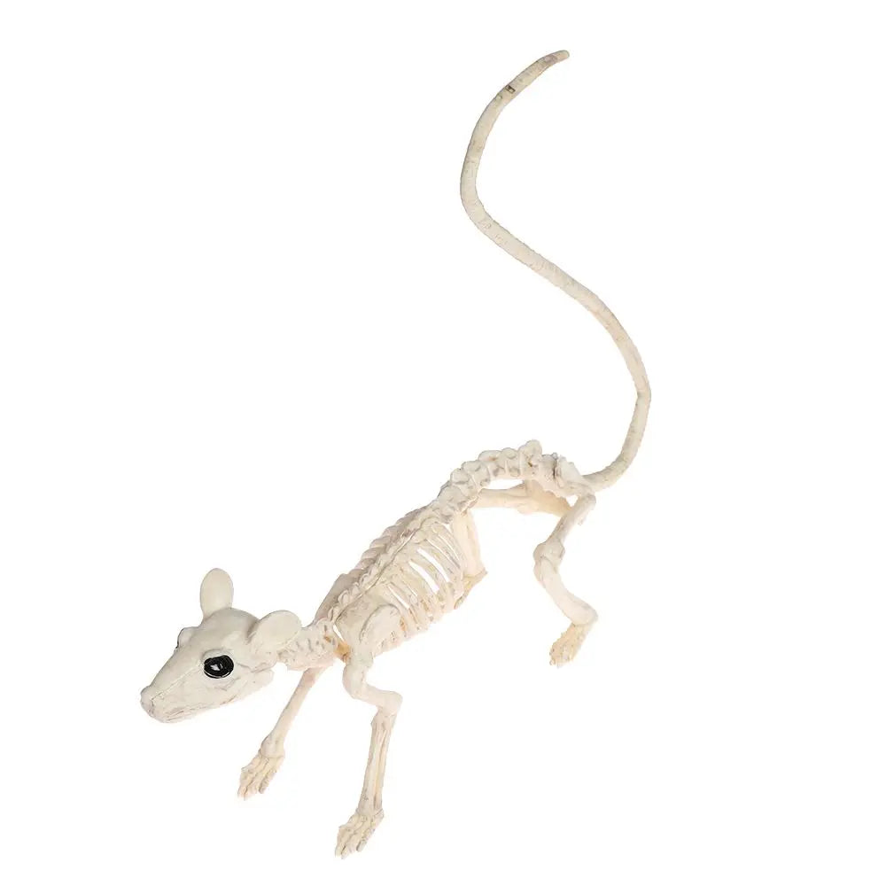 Squelettes d'Animaux Effrayants - Décoration Halloween Réaliste
